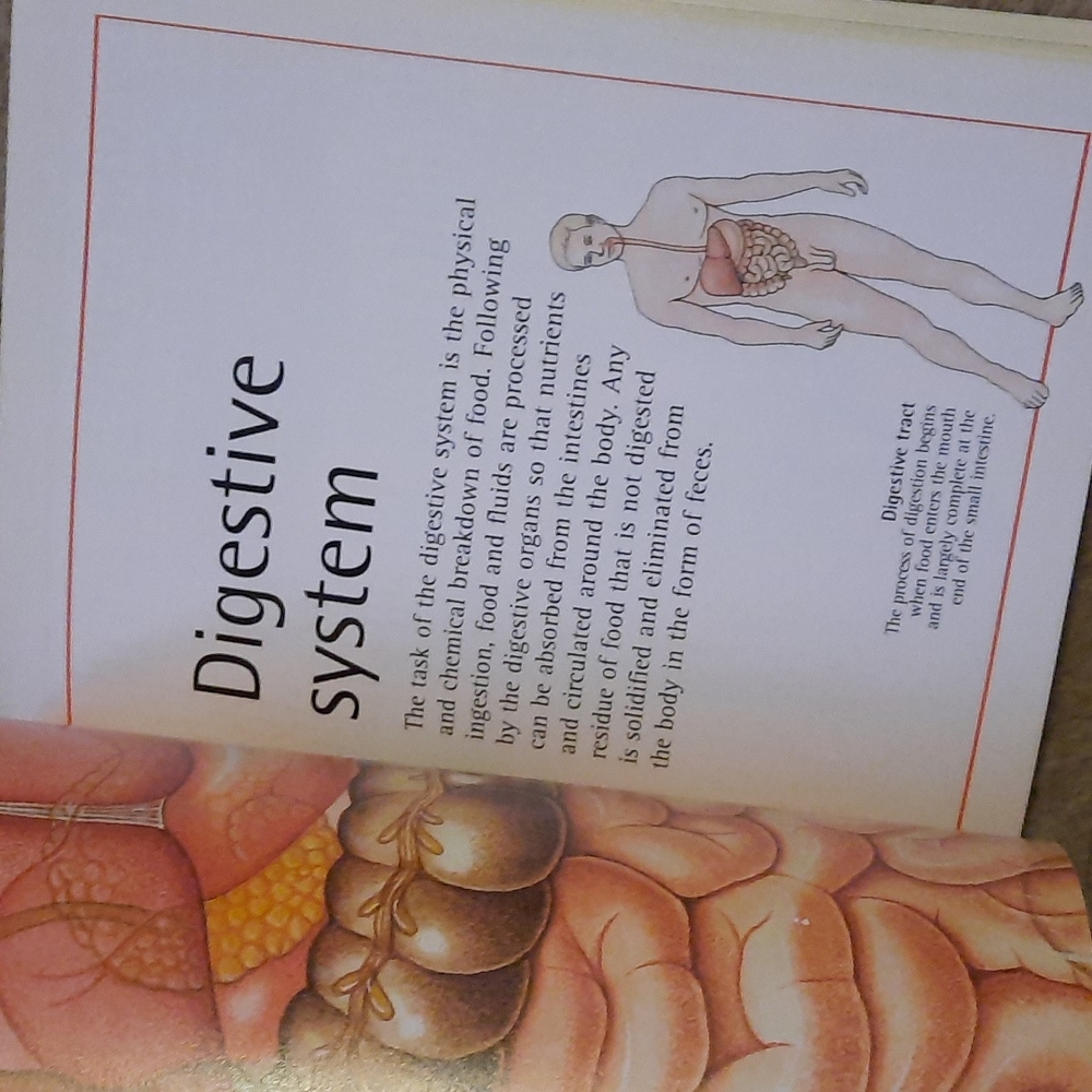Human Body Book - Picture 8 of 8